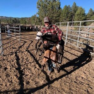 Meet your Posher, Austin